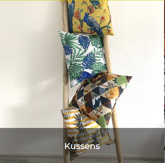 Kussens